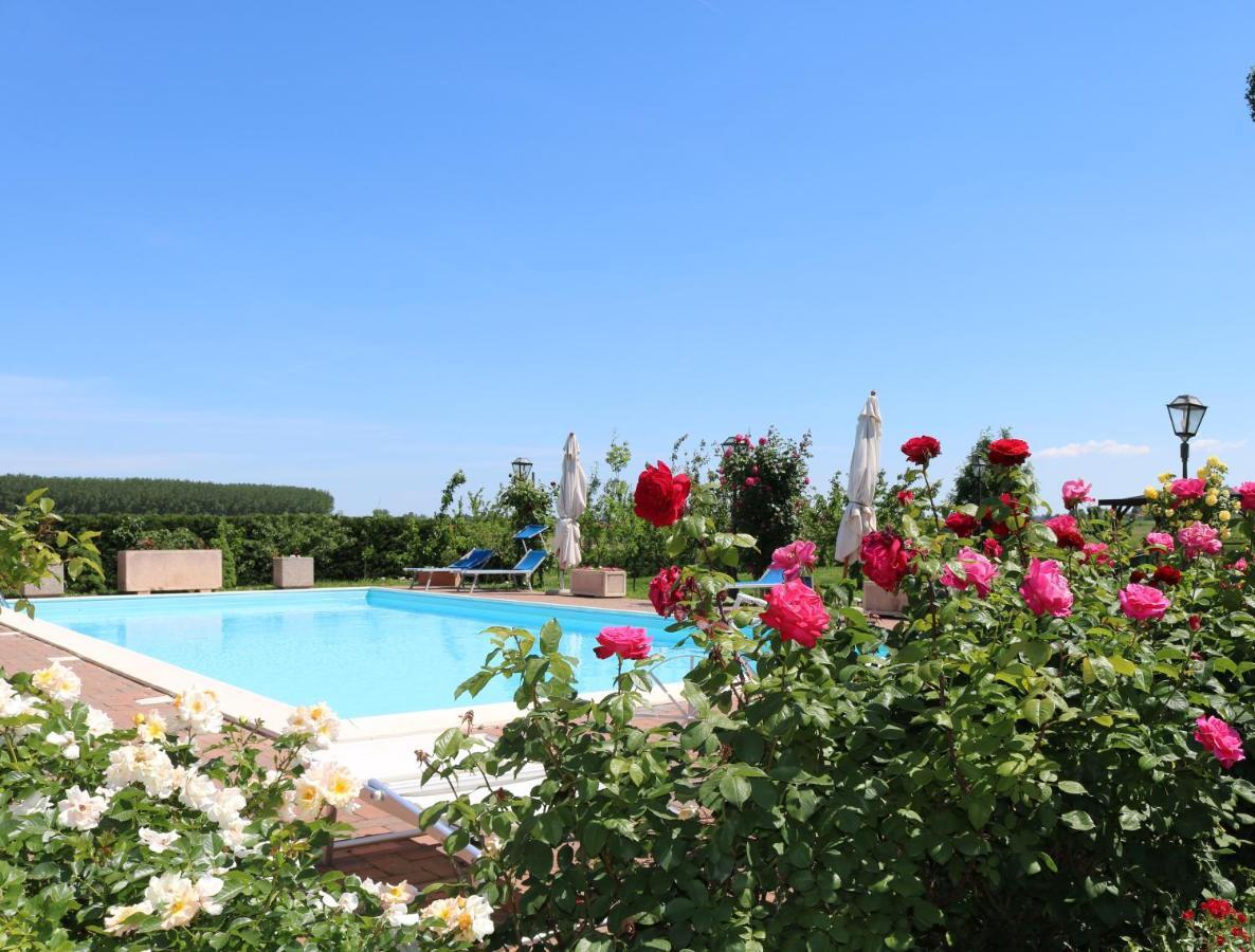 Millefiori La Corte Delle Rose Rovigo Exteriör bild